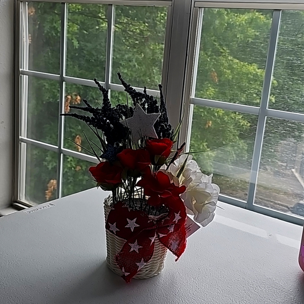 Red, white, and blue Hydrangea